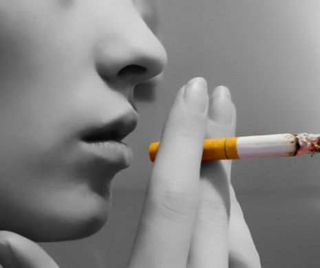 Exporturile de tutun au bătut importurile