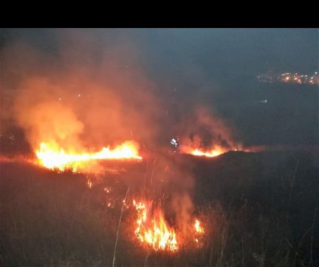 Incendiu PUTERNIC într-o pădure din România! Pompierii se luptă în acest moment cu flăcările