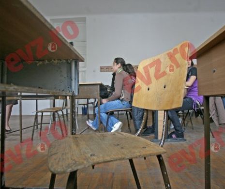 La țară, „cornul și laptele” hrănește familii întregi