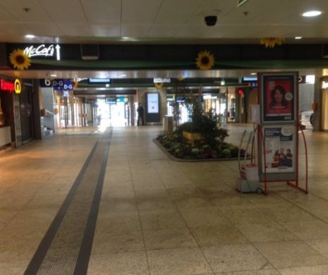 Lare de  OSTATICI în GERMANIA. Breaking News