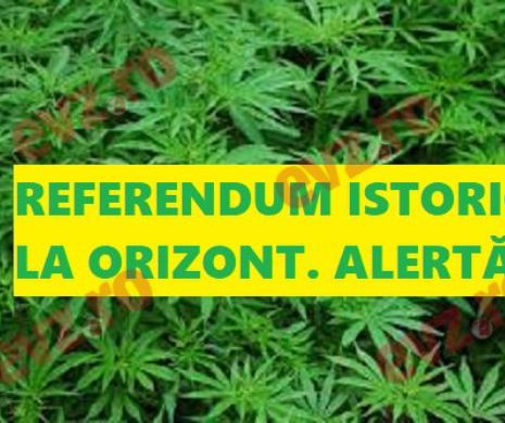 MICUTZU vrea un alt referendum. Motivul a ULUIT sute de mii de internauți