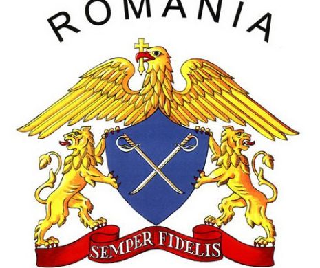 Șef SPP audiat la SENAT. Detalii despre SUPRAVEGHREA lui TĂRICEANU