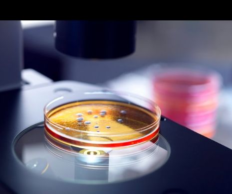 Alertă mondială! Bacteriile UCIGAŞE care REZISTĂ la ANTIBIOTICE devin tot mai PUTERNICE şi aproape IMPOSIBIL de tratat. Câţi oameni vor muri în următoarii ani