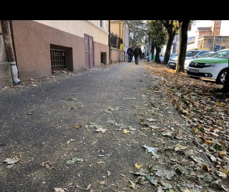 Asistații social și rudele lor trec la măturat străzile în Timișoara