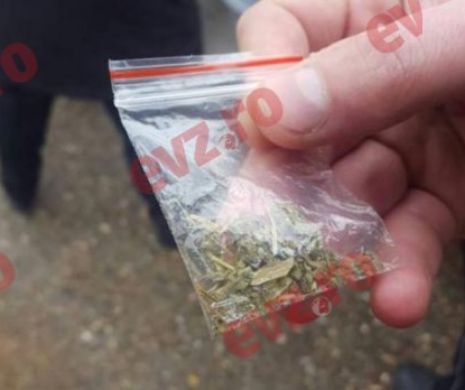 Etnobotanice cu acetonă. PERICOL PUBLIC în trei orașe. Metoda ȘOCANTĂ de preparat DROGURI