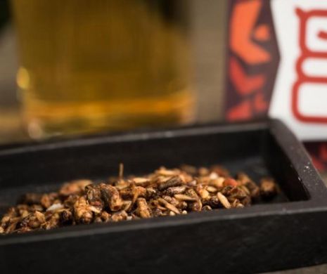 Greieri uscați la pungă. Mâncarea viitorului este deja în supermarketuri. Cât costă o gustare cu insecte