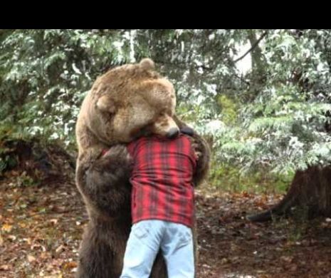 Liberalii vor să soluționeze conflictul dintre animale și om. Îl implică și pe Raed Arafat în proiectul de reacție rapidă