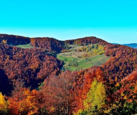 VREME neobișnuită pentru NOIEMBRIE. Ce TEMPERATURI se vor înregistra în următoarele zile
