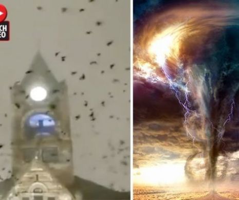Apocalipsa? Ciorile au luat cu ASALT BISERICA înainte de a lovi TORNADA. Video în articol