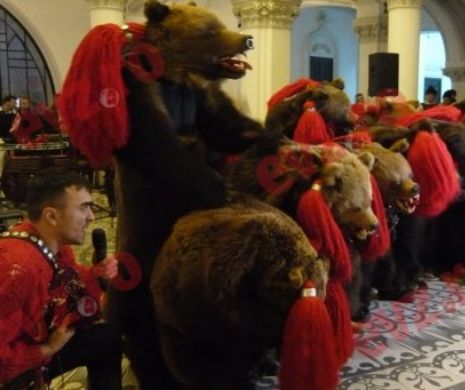 Povestea frumoasei care, înaintea Anului Nou, a îmblânzit bestia