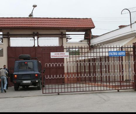 Surpriză URIAȘĂ de Crăciun pentru GARDIENII de la GHERLA din partea unui „IEPURAȘ” Playboy. Scandal URIAȘ creat de prezența VEDETEI