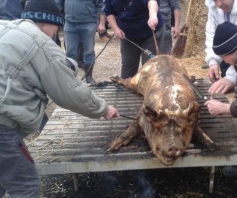 Tradiţii ROMÂNEŞTI. CE este INTERZIS în ziua de IGNAT. Sigur nu ştiai asta