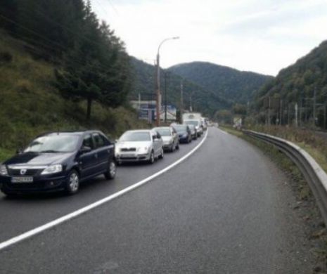 VIDEO INCREDIBIL! Un URS, pe străzile din Brașov! ALERTĂ emisă de autorități
