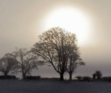VREMEA. Fenomen METEO neobişnuit pentru luna decembrie