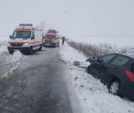 Vremea rea face PRĂPĂD în 16 județe și Capitală. IMAGINI ȘOCANTE! Viscolul a DOBORÂT sute de arbori. Zeci de mașini și oameni, PRINȘI între NĂMEȚI