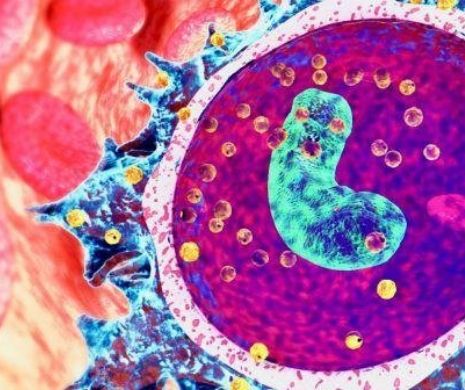 Anunţul SALVATOR pe care îl aşteaptă întreg MAPAMONDUL. EXISTĂ tratament complet pentru cancer