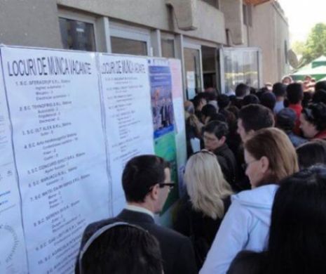 Bani de la stat pentru ŞOMERII harnici