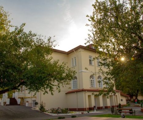 Cursuri GRATUITE pentru COPII după metodele de la Harvard: Programare creativă, Limba germană și Dezvoltare personală