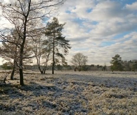 METEO. Vremea la început de an. TEMPERATURI în scădere şi PRECIPITAŢII