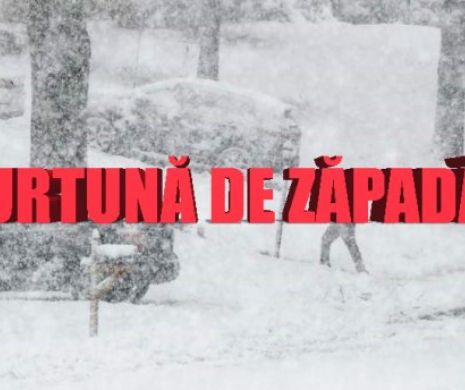 O FURTUNĂ masivă de ZĂPADĂ a paralizat SUA. Cel puţin 7 MORŢI şi peste 1500 de zboruri ANULATE