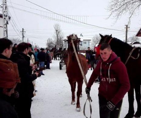 Obiceiuri barbare ale românilor, oprite de lege. Dosare penale pentru o tradiţie veche de sute de ani
