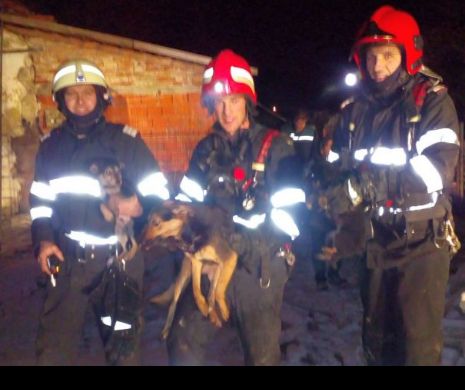 Salvare emoționantă. Pompierii au scos din flăcări cinci căței