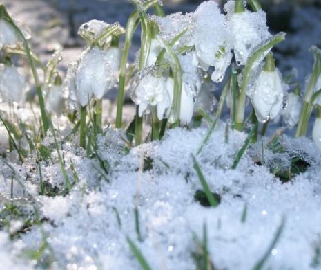 ȘOC METEOROLIGIC! Trecem la +14 grade. Temperaturi de PRIMVARĂ în următoarele zile