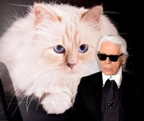 Este Posibil Ca Pisica Lui Karl Lagerfeld Să Mostenească Averea