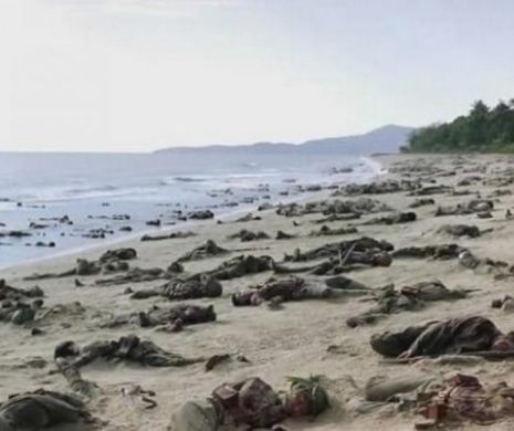 Povestea celor 1.000 de soldați mâncați de CROCODILI. Adevărul despre CARNAGIUL din Golful Bengal