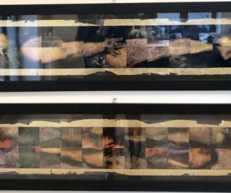 PRO NOMOS sau căutarea legii „bunului simț”