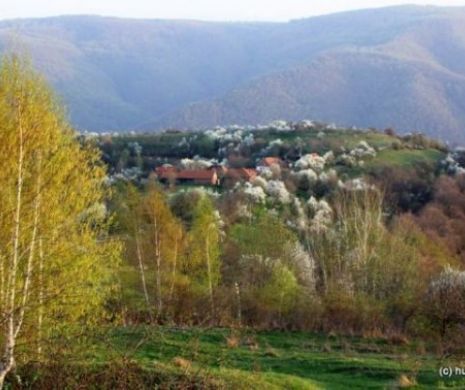 Satul unde timpul a încremenit în loc iar banii nu mai au nicio valoare. INCREDIBIL cât costă o casă