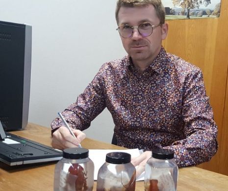 Un român a descoperit O NOUĂ SPECIE de rac