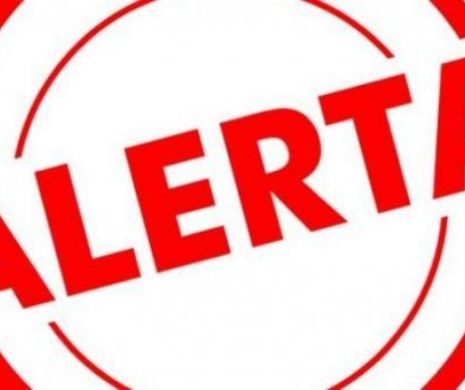 Alertă în Arad! Autoritățile caută un braconier care a împușcat un vânător. Acesta a fugit când și-a aflat sentința