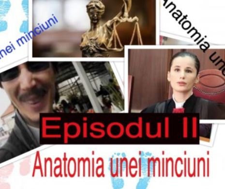 Anatomia minciunilor marca Vasilică Danileț. (II) Cum sunt strâmbate faptele în cazul judecătoarei Evelina Oprea