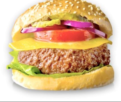 Carnea Ex Vivo! Frankenstein sau un nou salt al umanității?  De ce resping oamenii acest tip de carne
