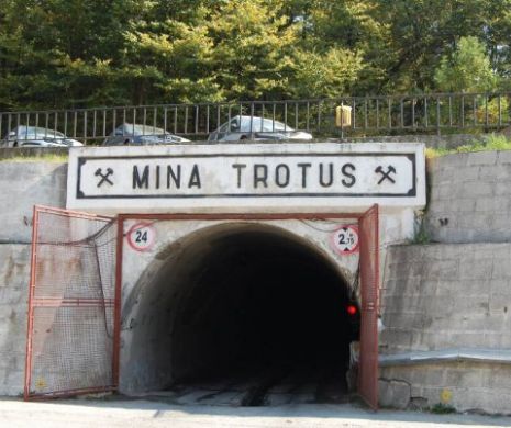 Condamnare pentru o şpagă cât casa lui Goagă