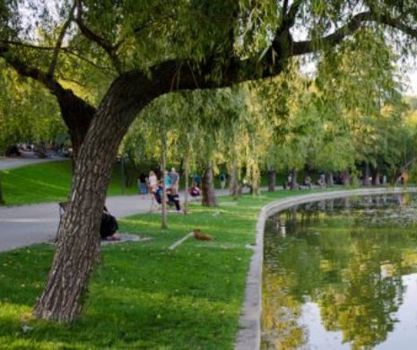 Eveniment de conștientizare ecologică în Parcul Alexandru Ioan Cuza din Capitală