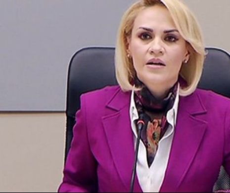Firea a cerut sprijinul lui Andronescu într-un proiect privind microbuze școlare pentru elevii din București