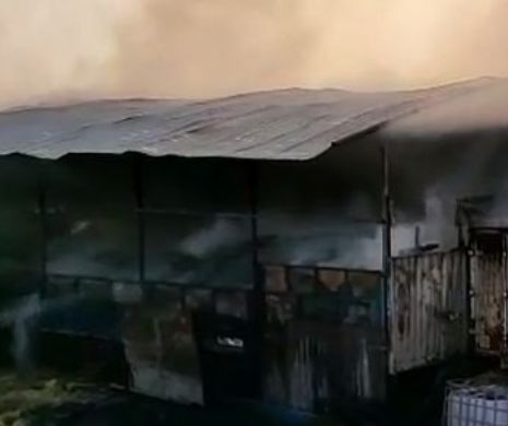 Incendiu puternic în Argeş. Pericol uriaş de explozie. Autorităţile sunt în alertă