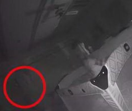 Părinţi îngroziţi! Ce au descoperit în camera fiicei lor. Video în articol
