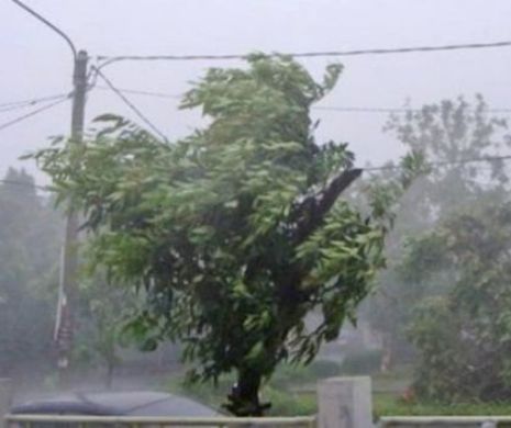 Urgia s-a dezlănţuit. Autoturisme distruse şi copaci smulşi din rădăcini. Autorităţile sunt în alertă