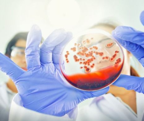 Bacterie periculoasă în România. A fost găsită într-un lanț faimos de restaurante fastfood