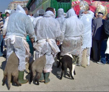 Ciobanii, revoltați că nu mai au unde să sacrifice mieii