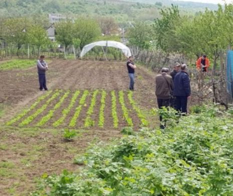 Detalii cutremurătoare în cazul crimei de la Cuvin. Fostul dascăl nici gând să regrete faptele