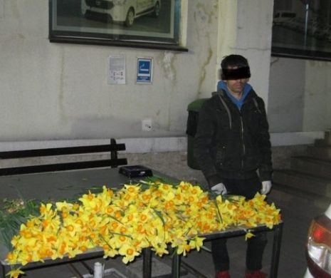 Hoțul narciselor a fost prins noaptea trecută