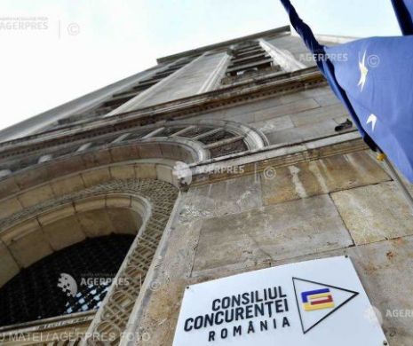 Investigaţii de amploare ale Consiliului Concurenţei pe piaţa lemnului din România. Amenzile sunt uriaşe