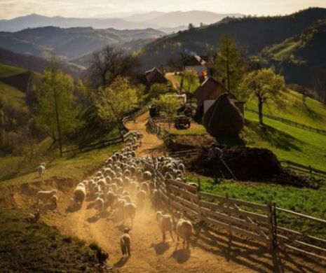 Ioan-Aurel Pop, despre cum și-a pierdut România bogățiile în fața străinilor