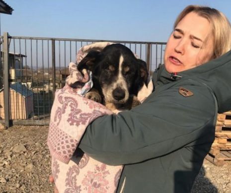 Miracol: De Florii, înviază din morţi