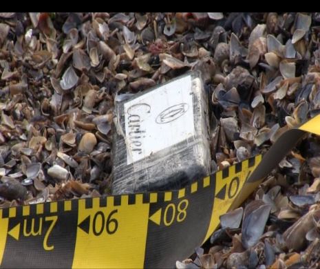 Pachetele cu cocaină s-au mutat în Bulgaria. Peste 200 kilograme găsite în câteva zile