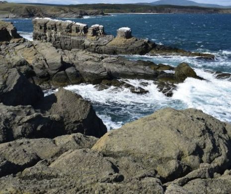 Pericol la Marea Neagră. Valurile aduc droguri la mal. Breaking news